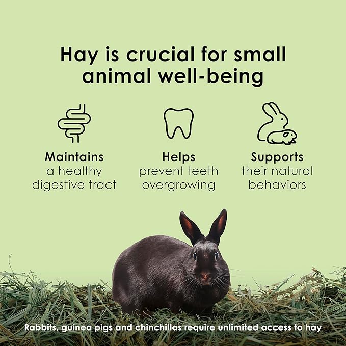 Kaytee All Natural Timothy Hay for Guinea Pigs, Rabbits & Other Small Animals, 6 Pound