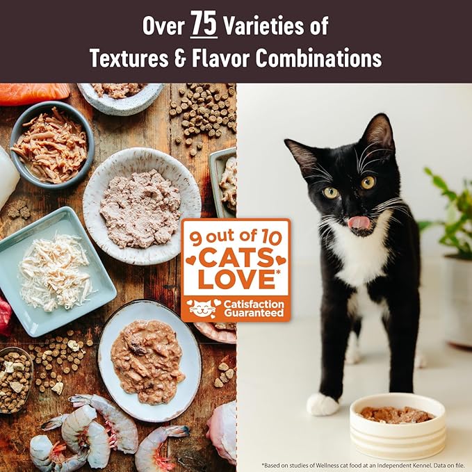 Wellness CORE Tiny Tasters Wet Cat Food, Complete & Balanced Natural Pet Food, Made with Real Meat, 1.75-Ounce Pouch, 12 Pack (Adult Cat, Tuna & Salmon Pate)