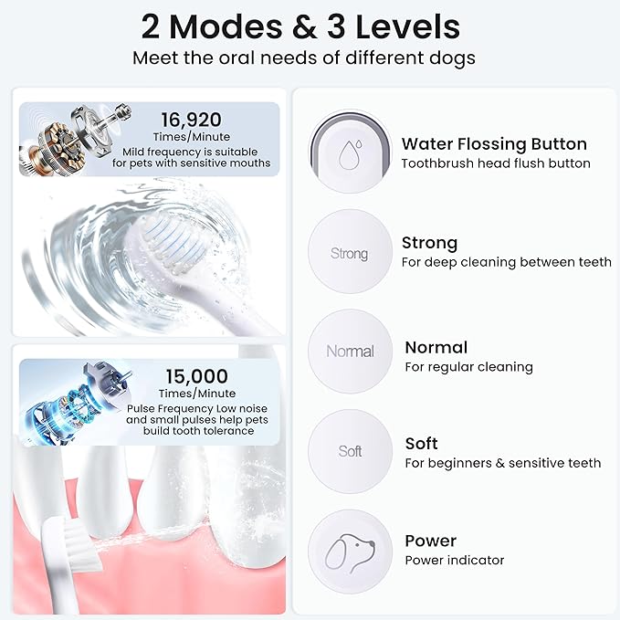 Dog Tooth Brushing Kit,3-in-1 Dog Teeth Cleaning Tools,Ultrasonic Electric Toothbrush & Plaque Remover for Dogs with Water Flosser for Teeth,2 Modes & 3 Intensity Levels,IPX7,1100mAh Battery