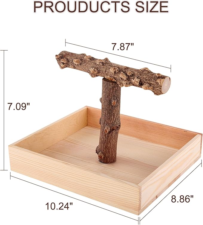 Bird Perch, Portable Tabletop Bird Stand, Training Play T Shaped Stand for Parrot Parakeet Cockatiels Conures Budgies Finch Lovebirds