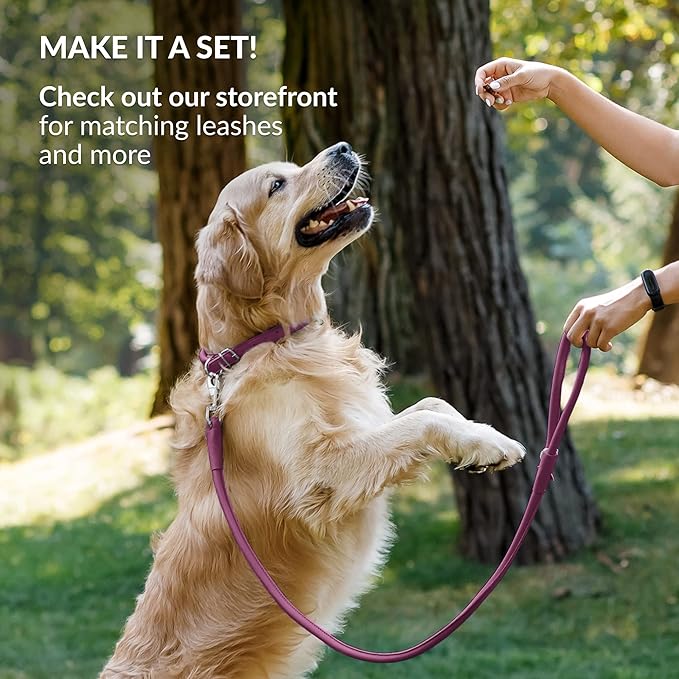 CollarDirect Rolled Leather Dog Collar, Soft Padded Round Puppy Collar, Handmade Genuine Leather Collar Dog Small Large Cat Collars 13 Colors (18-22 Inch, Pink Smooth)