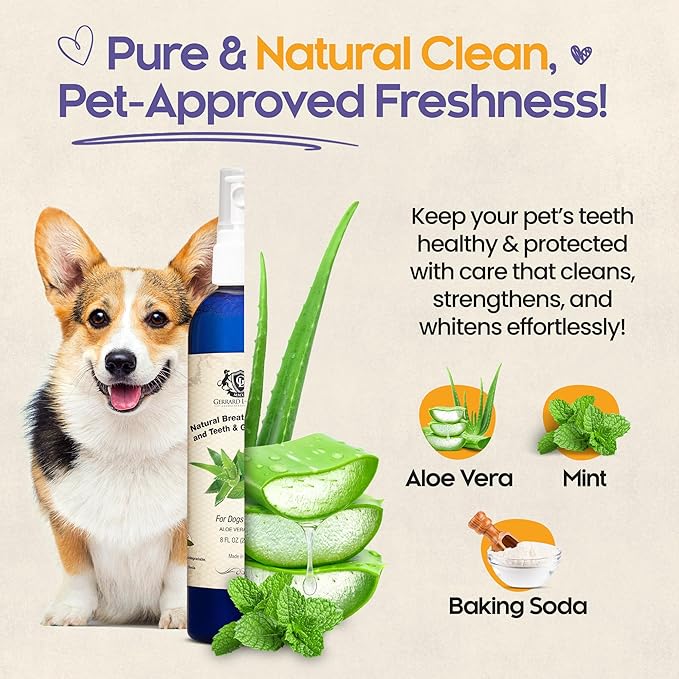 Dog Mouthwash, Dog and Cat Breath Spray with Baking Soda - 8 oz Natural Dog Breath Fresheners with Mint and Aloe Vera Mouth Spray for Tartar Control and Plaque, Dog Teeth Cleaning by Gerrard Larriett