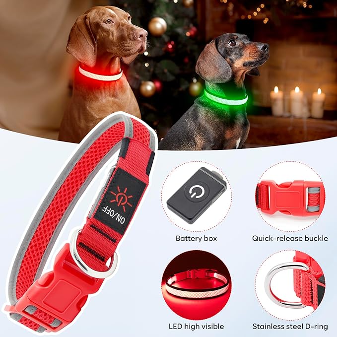 Flashseen LED Dog Collar, Light Up Dog Collar USB Rechargeable, Brightest Dog Lights for Night Walking, Adjustable Dog Collar Light for Dog Safety(Small, Ruby Red)