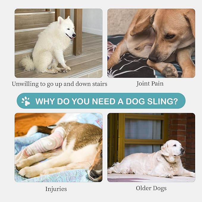 Dog Lift Harness for Small Dogs, Adjustable Rear Leg Support Sling for Hip Dysplasia, Arthritis, Weak Hind Legs, Post-Surgery Recovery, Comfortable & Secure with Sturdy Buckles, S