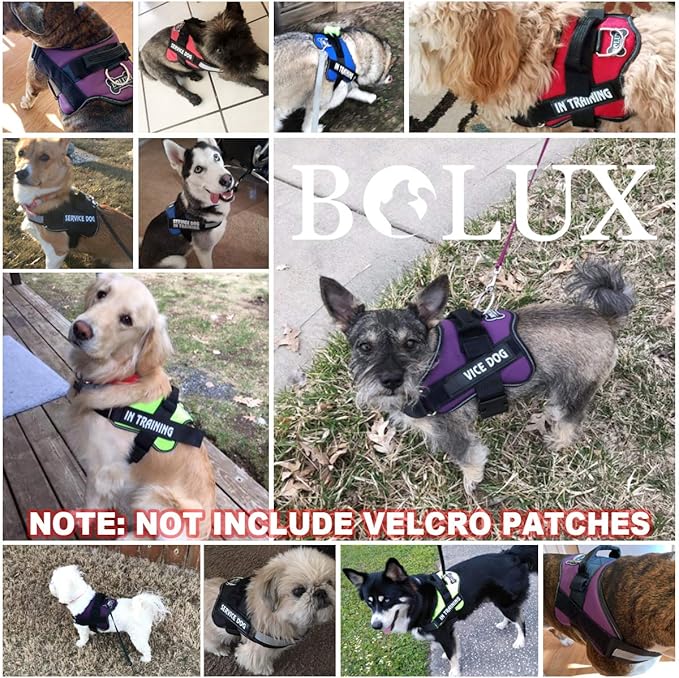 Bolux Dog Harness, No-Pull Reflective Dog Vest, Breathable Adjustable Pet Harness with Handle for Outdoor Walking - No More Pulling, Tugging or Choking (Blue, L)