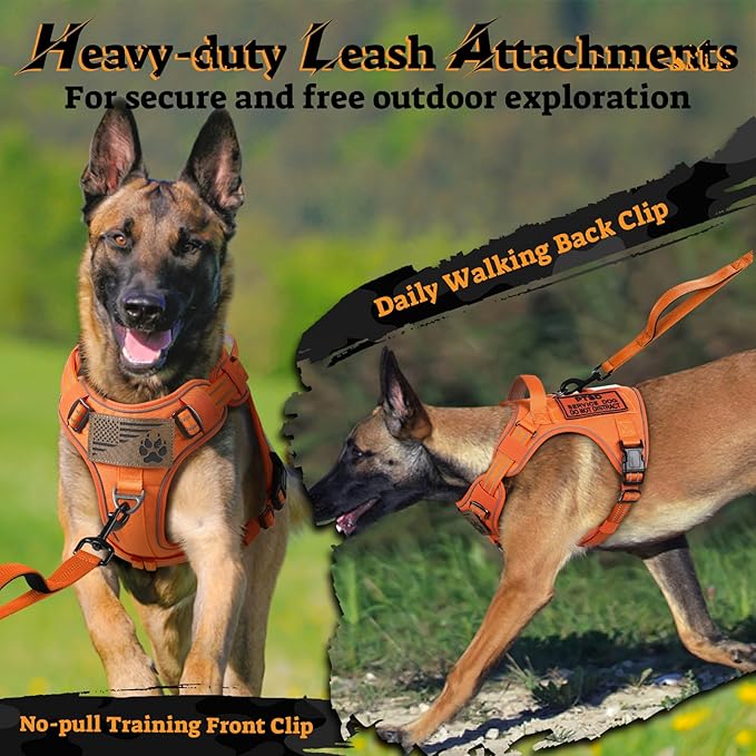 rabbitgoo Dog Harness Small Sized No Pull, Tactical Service Pet Vest with Molle and Control Handle, Adjustable and Reflective Military Harness for Easy Walking and Training, Orange, S