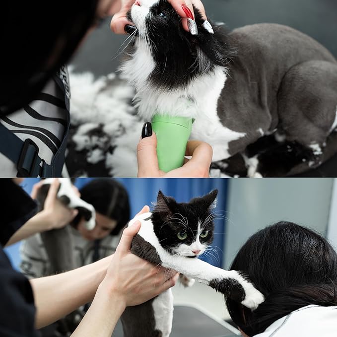 Detachable A Series 30 Blades Cat Clippers Cuts Length 1/50" - 0.5mm Japanese High Carbon Steel Cat Clipper Supplies | Cat Grooming Blade (Compatible A5 Series Clippers for Cats(30C)