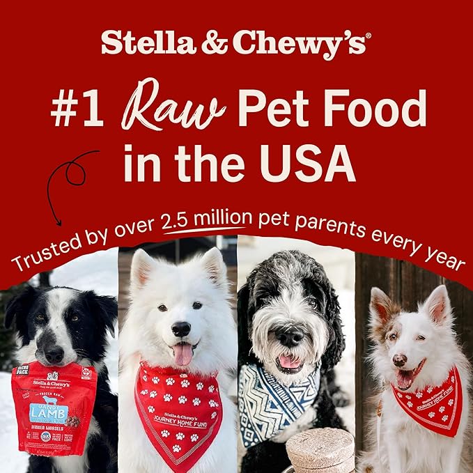 Stella & Chewy's Freeze-Dried Raw Dinner Patties - Surf 'N Turf Salmon & Beef Recipe - High Protein Grain-Free Puppy & Dog Food - Perfect For Picky Eaters - 14 oz