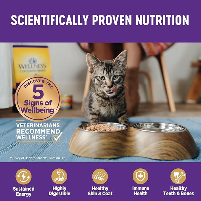 Wellness Complete Health Pate Adult Wet Cat Food, Natural, Protein-Rich, Grain Free, 3 Ounce, 24 Pack, (Beef & Chicken)