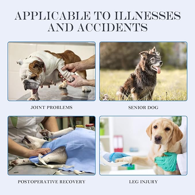 Dog Lift Harness, Full Body Support with Adjustable Control Handle for Large Senior Dogs, Post-Surgery Recovery & Joint Problems (Oxford Cloth, XL)