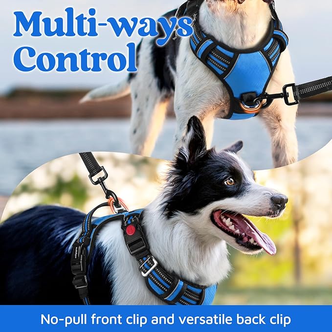 rabbitgoo Dog Harness for Large Dogs, No Pull Pet Vest with 3 Buckles, Adjustable Soft Padded Pet Harness with Easy Control Handle and Reflective Strips, Blue, L