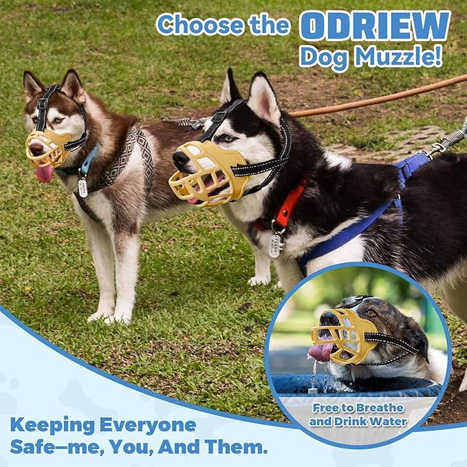 Dog Muzzle for Large Dogs, Breathable Basket Muzzles for Small, Medium and X-Large Aggressive Dog, Allows Panting Drinking, Suitable for Grooming Trimming Training (6, Luminous Orange)