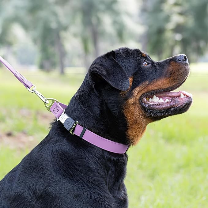 Dogline Biothane Waterproof Dog Collar with Herm Sprenger Black Stainless Steel Quick Release Buckle – Heavy Duty Tactical Durable Collar for Dogs – Comfortable, Safe Pet Collar W 1" L 15-25" Amethyst