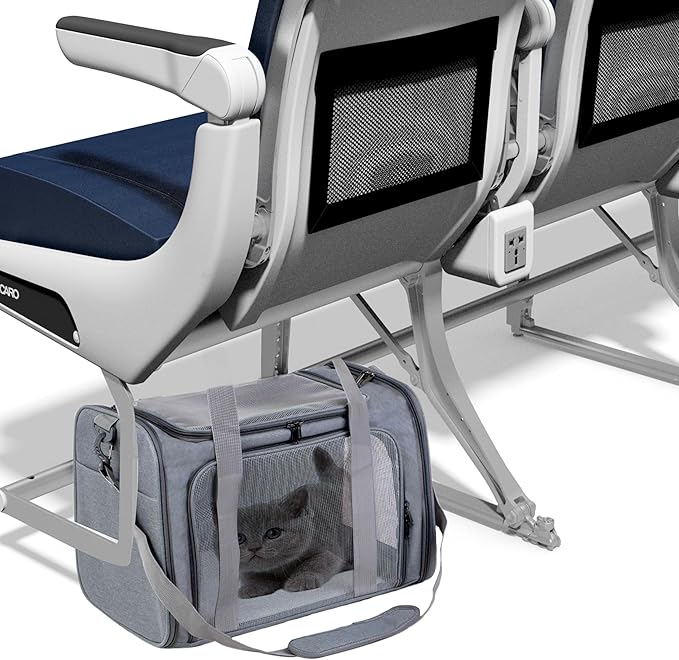 Airline Approved Soft Sided Pet Carrier for Small and Medium Dogs, Cats, and Puppies (Up to 15 lbs), Collapsible Portable Travel Bag for Dogs Cats (Grey)