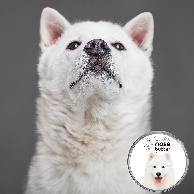 The Blissful Dog Samoyed Unscented Nose Butter - Dog Nose Butter, 4 Ounce