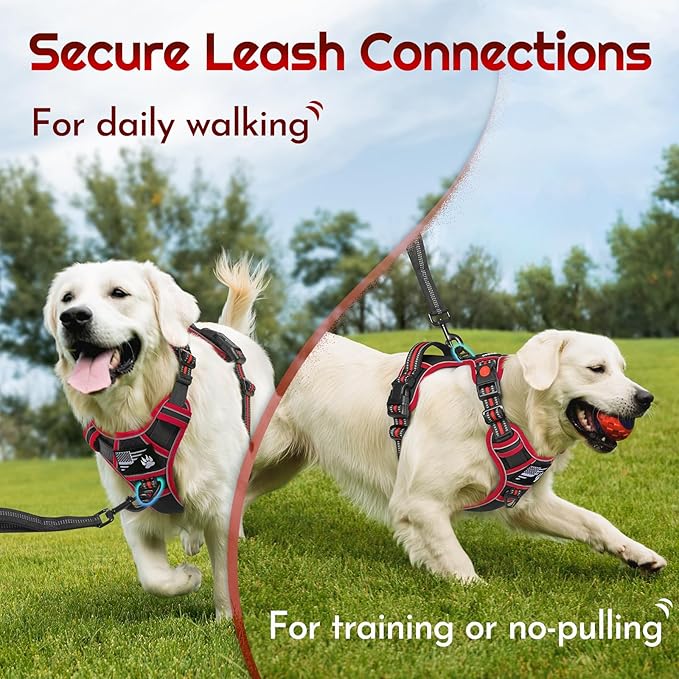 Eagloo Dog Harness Small Sized, Easy Wearing with 3 Buckles, Adjustable No Pull Pet Harness with 2 Rings for Walking, No Chock Reflective Soft Padded Vest with Control Handle, Black & Red, S