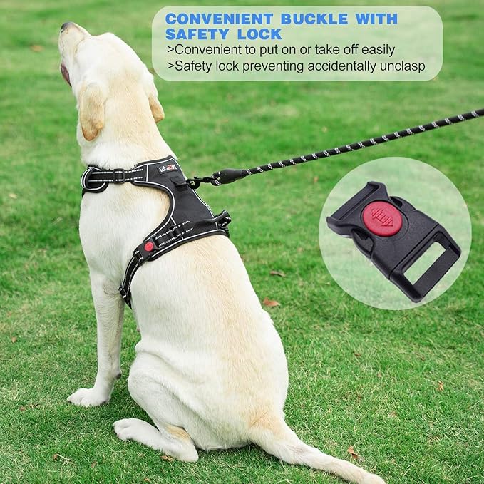 No Pull Dog Harness Adjustable Reflective Oxford Easy Control Medium Large Dog Harness with A Free Heavy Duty 5ft Dog Leash (S (Chest: 17.5"-21"), Orange Harness+Leash)