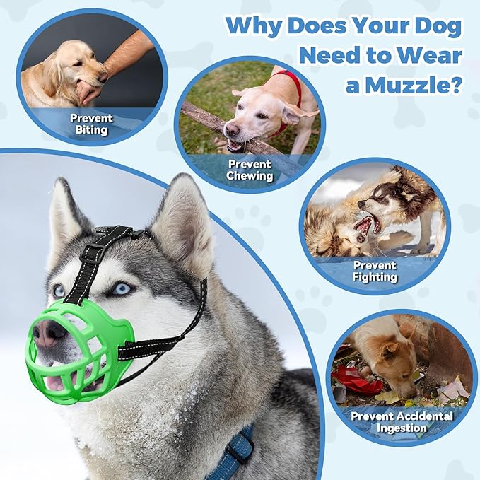 Dog Muzzle for Large Dogs, Breathable Basket Muzzles for Small, Medium and X-Large Aggressive Dog, Allows Panting Drinking, Suitable for Grooming Trimming Training (6, Luminous Green)