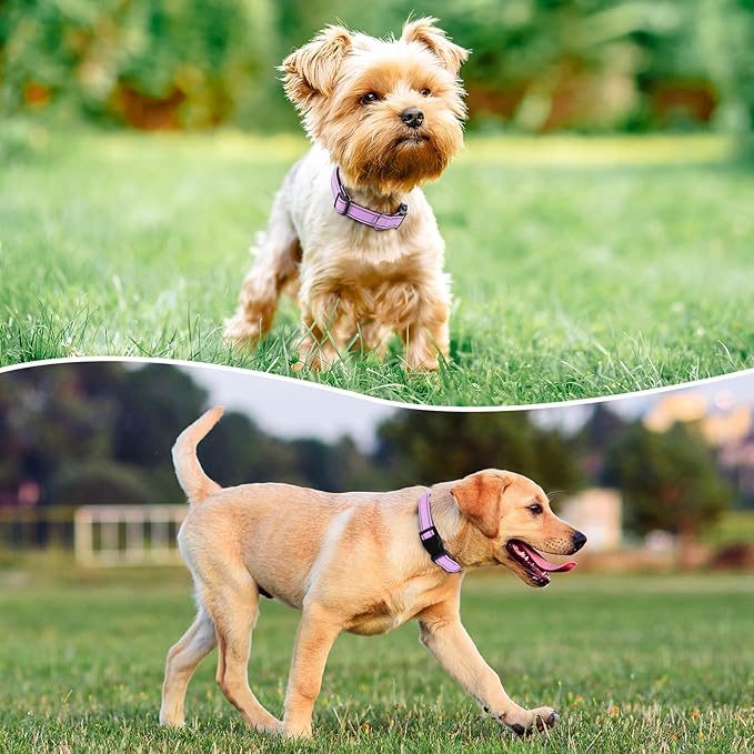 Reflective Dog Collar Padded with Soft Neoprene Breathable Quick Release Basic Dog Collars for Puppy Small Dogs Lavender