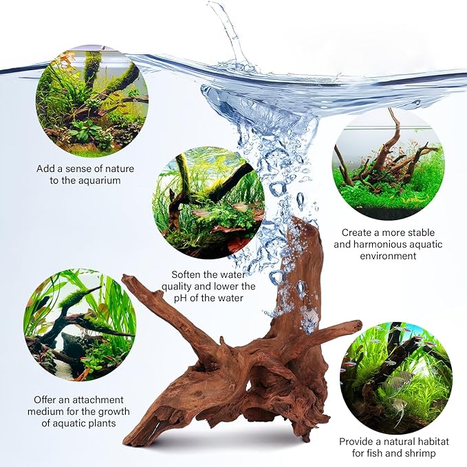 Driftwood for Aquarium Natural Aquarium Wood for Aquascaping Fish Tank Decorations Reptile Tank Decor (Natural Driftwood 9-14" (Pack of 2))