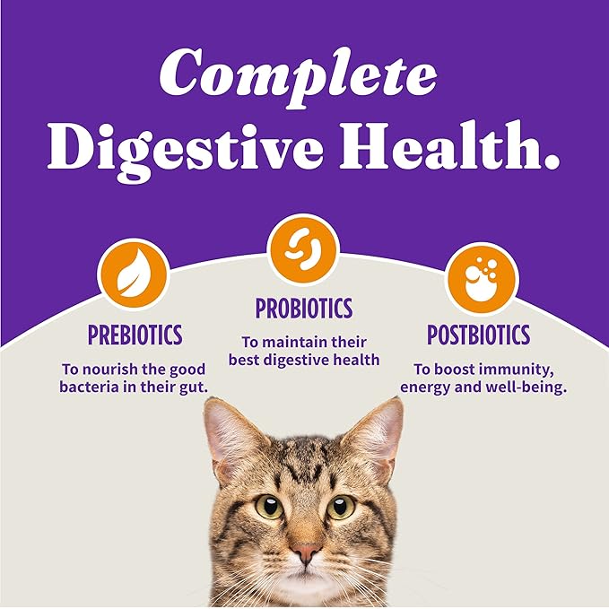 Halo Holistic Cage Free Chicken Cat Food, Grain Free Dry Cat Food, For Healthy Weight Support, Kibble for Indoor Cats, 6 lb Bag