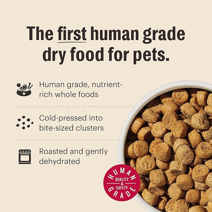 The Honest Kitchen Whole Food Clusters Small Breed Grain Free Beef Dry Dog Food, 4 lb Bag