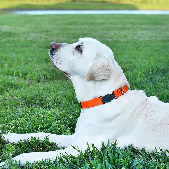 Dogline Biothane Waterproof Dog Collar with Herm Sprenger Stainless Steel Quick Release Buckle – Heavy Duty Tactical Durable Collar for Dogs – Comfortable and Safe Pet Collar, W 1" L 15-25", Orange