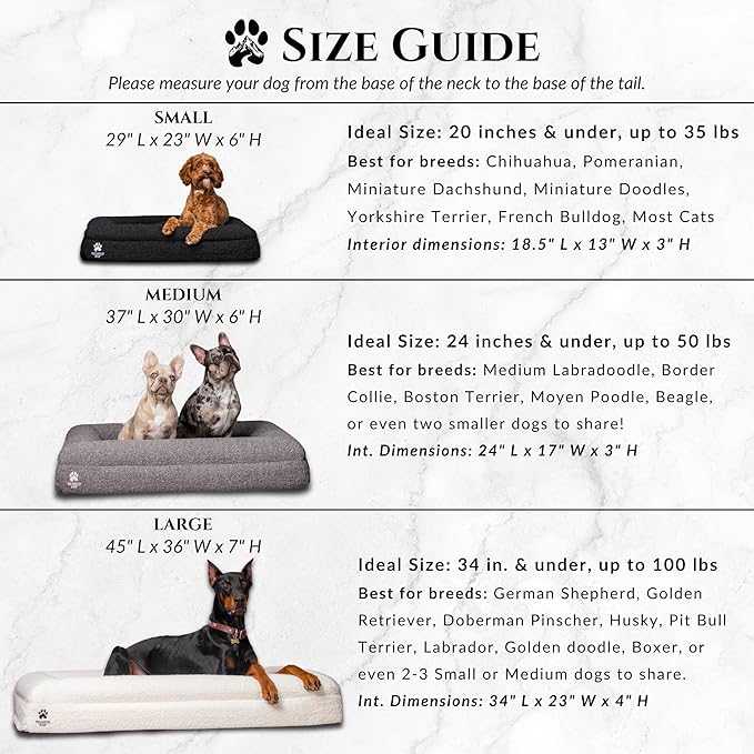 Luxury Boucle Fabric Orthopedic Dog Bed with Memory Foam | Breathable Comfort and Washable Dog Couch Bed with Waterproof Liner & Cover | Ideal Sofa Beds for Medium Dogs - Charcoal 37"x30x6