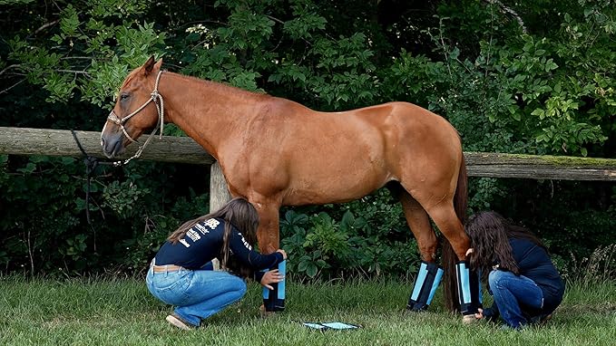 Warrior Fly Boots for Donkeys, Ponys, or Yearlings - Breathable Mesh Horse Boots for Fly Protection & Leg Comfort - Set of 4 (Mighty Warrior, Neon Orange)