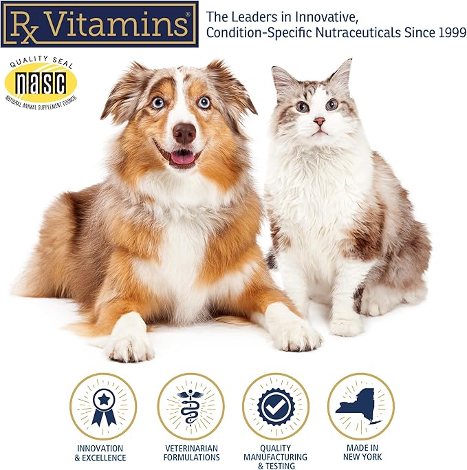 Rx Vitamins Amino B Plex Cat & Dog Supplement - Vitamin B Complex Liquid Plus Amino Acids for Dogs & Cats - Appetite Booster and Weight Gainer Cat & Dog Vitamins - 2 oz