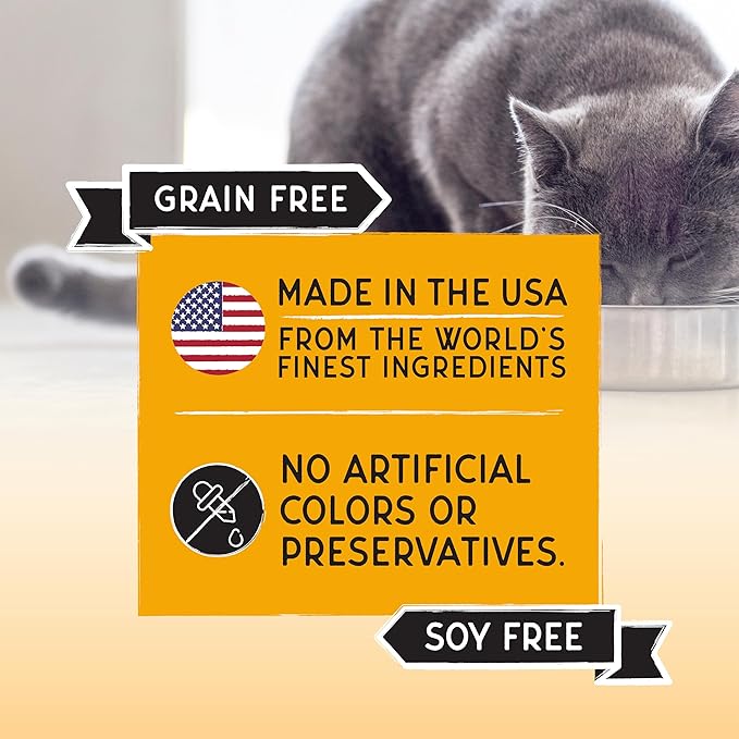 Blackwood Bounty Dry Cat Food, Chicken & Turkey Recipe for All Life Stages, 10 Pound Bag, High Protein, Grain Free