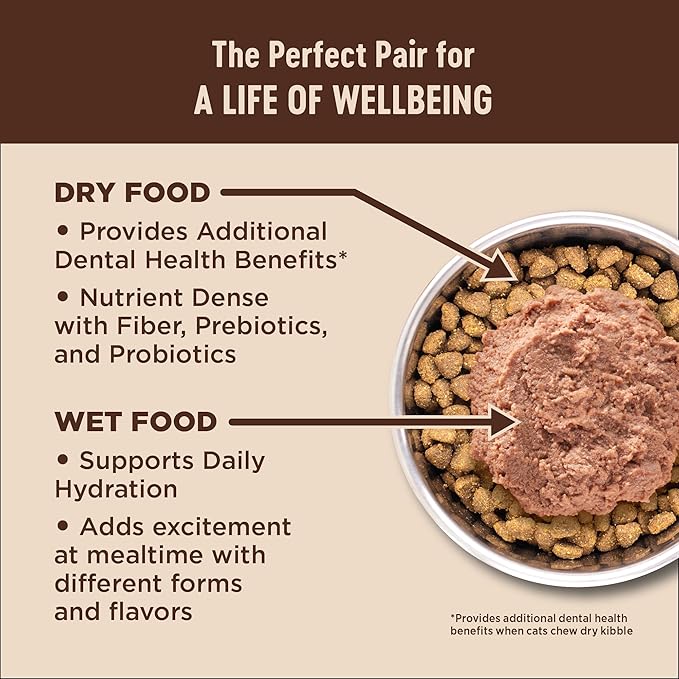 Wellness CORE+ Digestive Health Pate Adult Wet Cat Food, Natural, Protein-Rich, Grain Free, 3 Ounce, 12 Pack (Turkey)