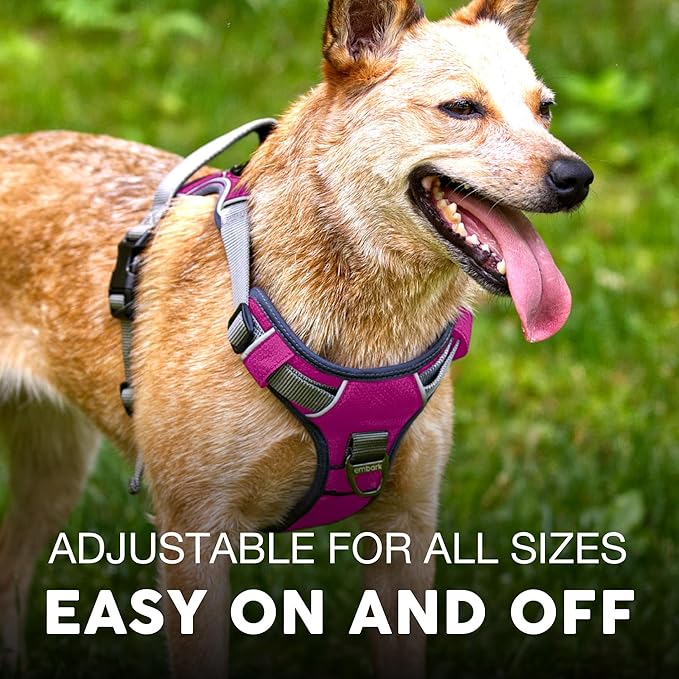 Embark Adventure Dog Harness, No-Pull Reflective Trim Dog Harness for Small, Medium & Large Dogs - Military Grade Nylon, 2 Leash Clips & Gel Lined Handle. Soft & Padded Puppy Dog Vest for Any Breed