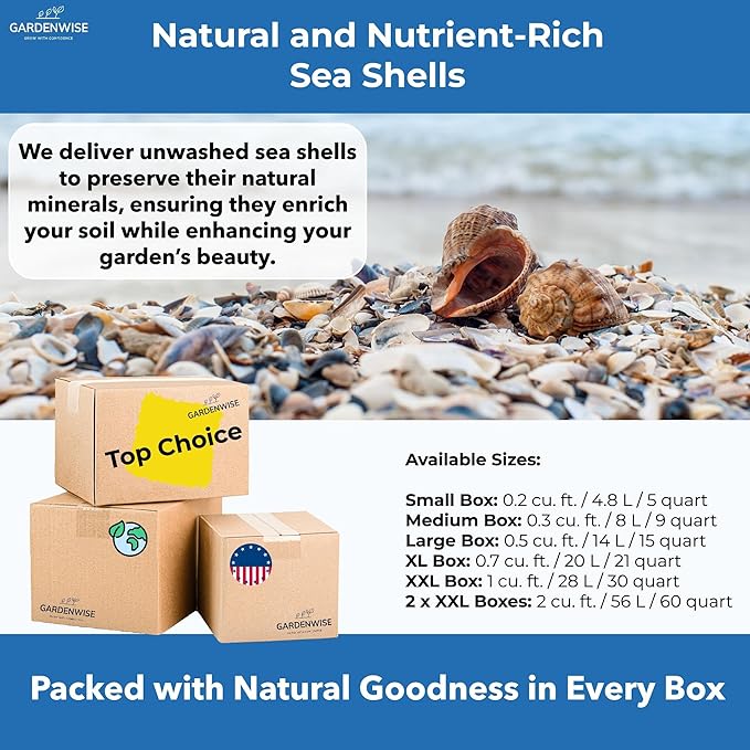 Natural Organic Sea Shell Mulch for Gardens and Landscaping – Decorative and Nutrient-Rich, 0.5–3-Inch Shells, Perfect for Indoor and Outdoor Use (0.3 CF - 8 L - 9 QTS)