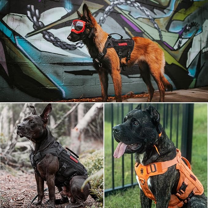 OneTigris No Pull Tactical Dog Harness for Medium Dog, Aire Mesh Dog Vest Harness, Breathable Military Dogs Molle Vests with Handles, Service Dogs Vest for Walking Hiking Training (M, Black)