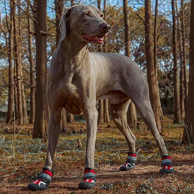 Dog Shoes, Waterproof Dog Boots & Paw Protectors with Anti-Slip Sole, 4pcs/Set Pet Dog Booties, Reflective Dog Shoes for Small Medium Large, Winter Snowy Summer Hot Pavement (Red, 5# (M))