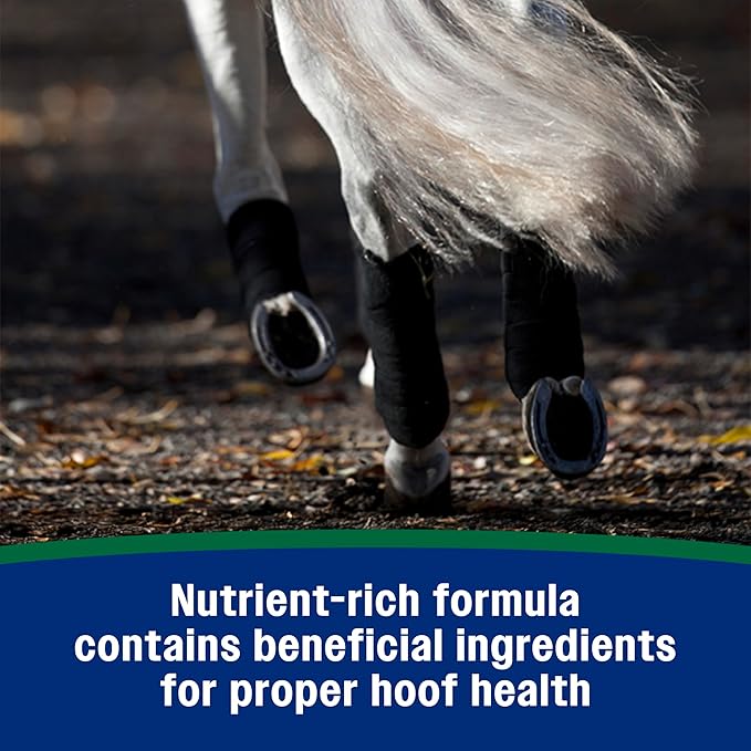 Farnam Horseshoer's Secret Pelleted Hoof Supplement for horses promotes healthy hoof growth, 22 lb., 60 day supply