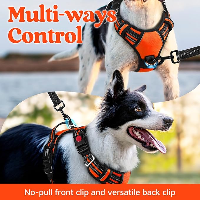 rabbitgoo Dog Harness for Large Dogs, No Pull Pet Vest with 3 Buckles, Adjustable Soft Padded Pet Harness with Easy Control Handle and Reflective Strips, Orange, XL