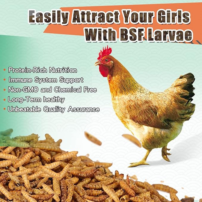 Dried Black Soldier Fly Larvae, 85X More Calcium Than Mealworms High-Protein BSF Larvae Chicken Treats Non-GMO BSFL for Chickens, Hens, Ducks, Wild Birds 5LBS