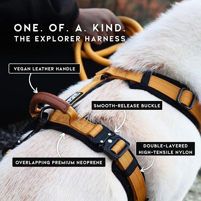MADE TO ROAM Premium Explorer Harness - Y-Shaped Dog Harness with Adjustable Durable Nylon, Soft Padding, Metal Buckles and Leather Handle for Small, Medium, Large Dogs (Carolina Blooms, Size 1)