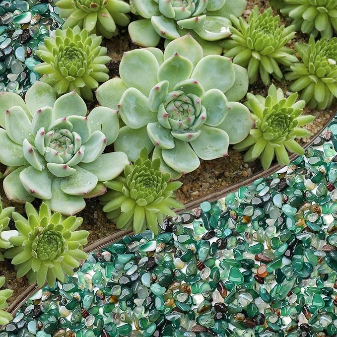 Halatool 2.2LB Natural Green Agate Stones for Aquarium Gravel & Fish Tank 0.35-0.6 Inch Decorative Pebbles for Succulent Rocks DIY Landscaping Indoor Plants Vase Fillers