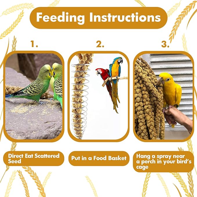 Jmxu's 2LB Spray Millet Treat for Birds Parakeets, Natural Sun-Dried Birds Millet for Cockatiel, Finches, Parrots, Hamster