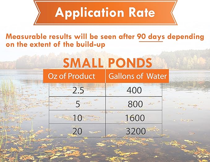 Pondworx Pond Bacteria - Concentrated & Formulated for Large Ponds, Water Features - Safe for Koi - 32ounes & Treats up to a Quarter Acre Pond