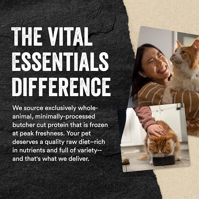 Vital Essentials Chicken Breast Cat Treats, 2.1 oz | Freeze-Dried Raw | Single Ingredient | Grain Free, Gluten Free, Filler Free