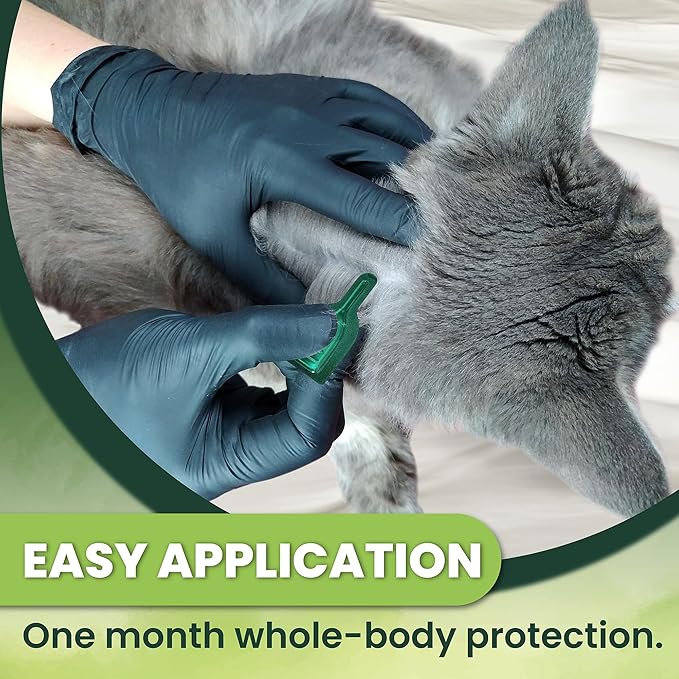 Flea and Tick Prevention for Cats: Flea & Tick Topical for Cats Over 1.5lbs, 6 Dose Flea and Tick Control/Prevention for 6 Months (6 Pack)