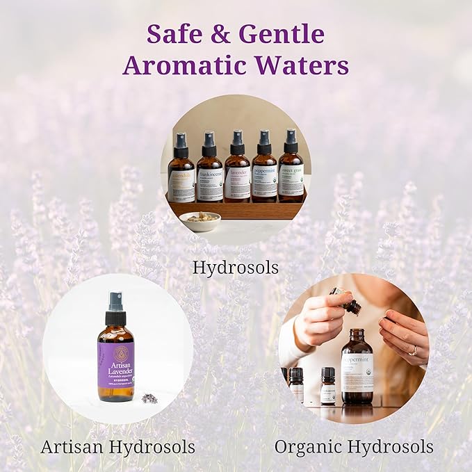 Aromatics International Ginger Hydrosol 100ml | Warm Aromatic Spray for Daily Use