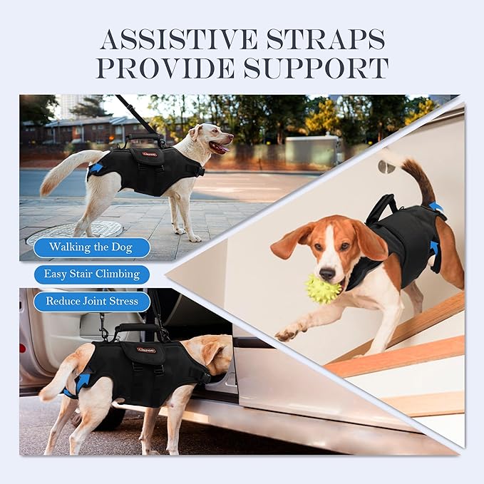 Dog Lift Harness, Full Body Dog Lift Harness, with Adjustable, Control Handle, for Senior Dogs, Post Surgery Recovery, Dogs with Joint Problems, Oxford Cloth L