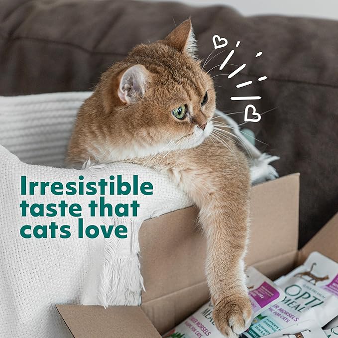 Optimeal Grain-Free Wet Cat Food – Chicken & Turkey Recipe, High Protein & Moisture Rich Indoor Adult Cats Food, Tender Morsels in Savory Gravy Natural Ingredients - 3 oz Pouches, 12 Pack