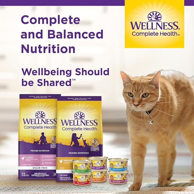 Wellness Complete Health Gravy Adult Wet Cat Food, Natural, Protein-Rich, Grain Free, 5.5 Ounce, 12 Pack, (Turkey Dinner)