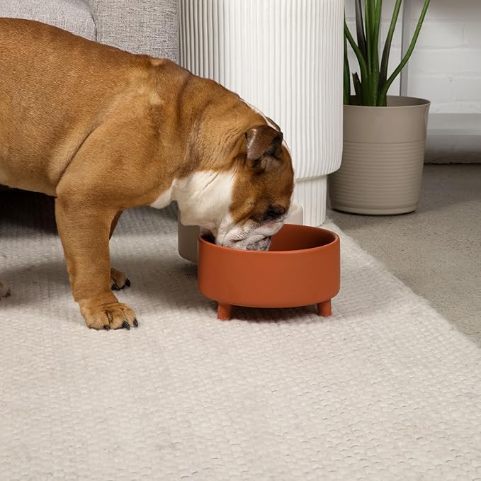 Waggo Uplift Ceramic Dog Bowl for Small Medium and Large Breeds - Heavyweight and Durable Pet Food and Water Dish Crock, Dishwasher Safe, Modern, Elevated Feeder (Olive, Small)